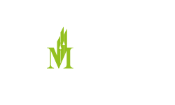 Ezamancinza Investments Logo